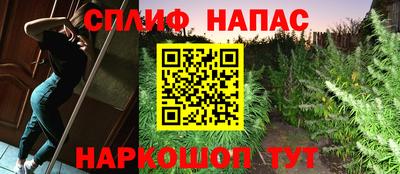 гидра Кулебаки