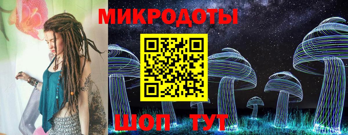 Псилоцибиновые грибы Psilocybe Кизилюрт
