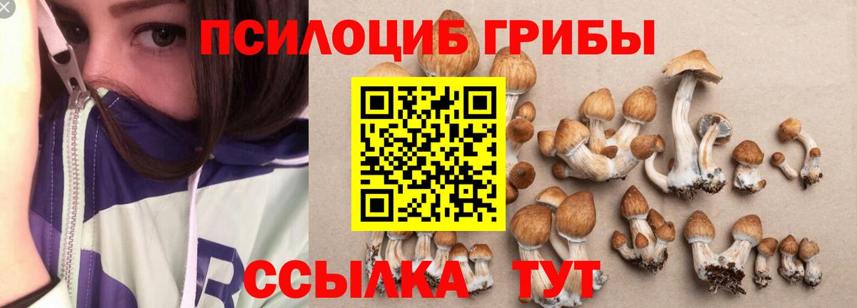 Псилоцибиновые грибы прущие грибы  Псилоцибиновые грибы Magic Shrooms  Вход с VPN  Кизилюрт 